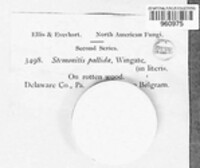 Image Associated With the Occurence